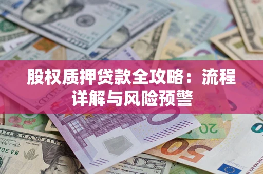 北京股权质押贷款全攻略：流程详解与风险预警