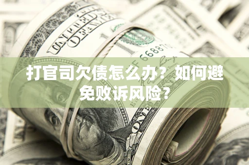 北京打官司欠债怎么办？如何避免败诉风险？