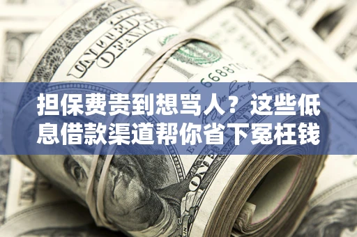 北京担保费贵到想骂人？这些低息借款渠道帮你省下冤枉钱