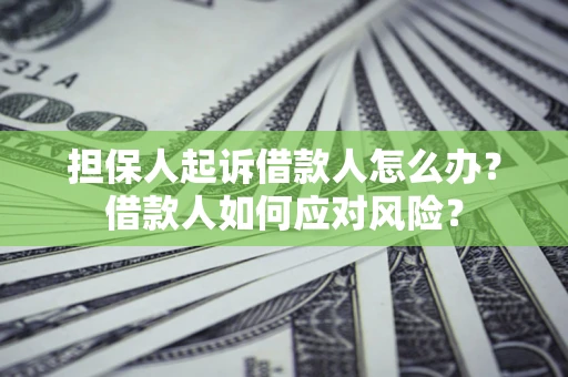 北京担保人起诉借款人怎么办？借款人如何应对风险？