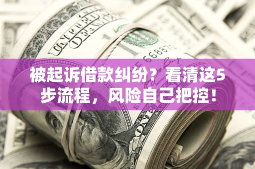 北京被起诉借款纠纷？看清这5步流程，风险自己把控！