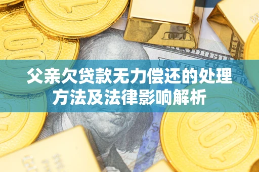 北京父亲欠贷款无力偿还的处理方法及法律影响解析