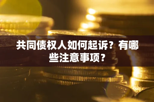 北京共同债权人如何起诉？有哪些注意事项？